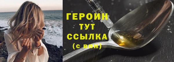 индика Горняк
