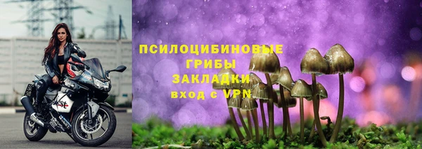 кокс Алзамай