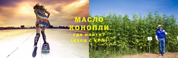 индика Горно-Алтайск