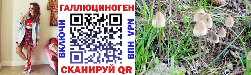 Псилоцибиновые грибы Psilocybine cubensis  Медынь 